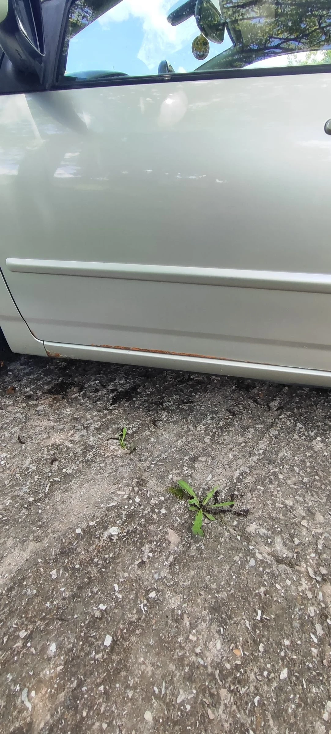 Toyota Corolla 1.4D4D, снимка 15 - Автомобили и джипове - 54667717