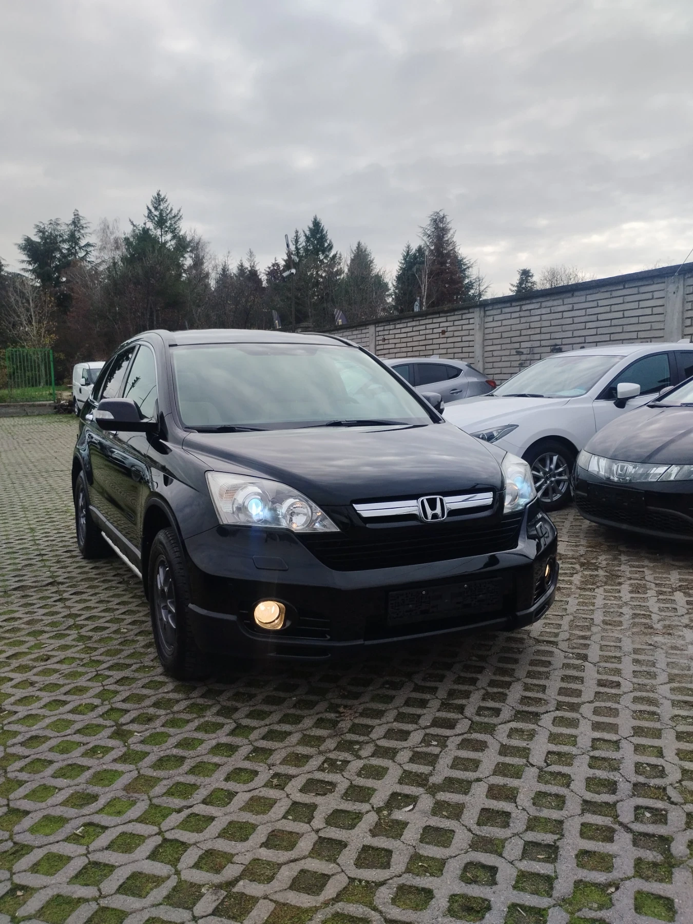 Honda Cr-v 2.0 executive  - изображение 2