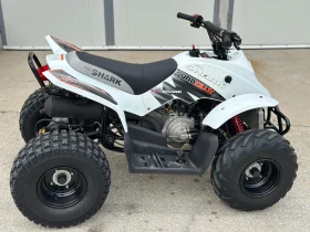 Yamaha Yfz APEX PRO SHARK 100 | Mobile.bg    6