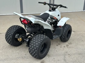 Yamaha Yfz APEX PRO SHARK 100 | Mobile.bg    5