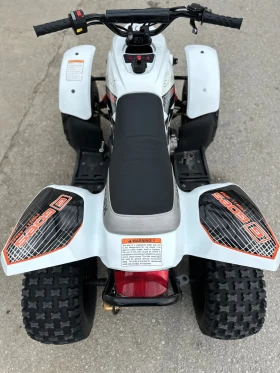 Yamaha Yfz APEX PRO SHARK 100 | Mobile.bg    9