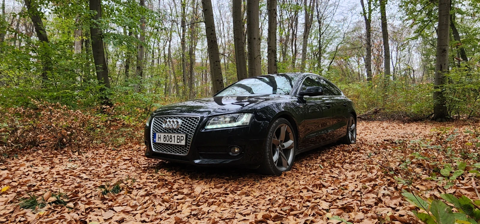 Audi A5  - изображение 2