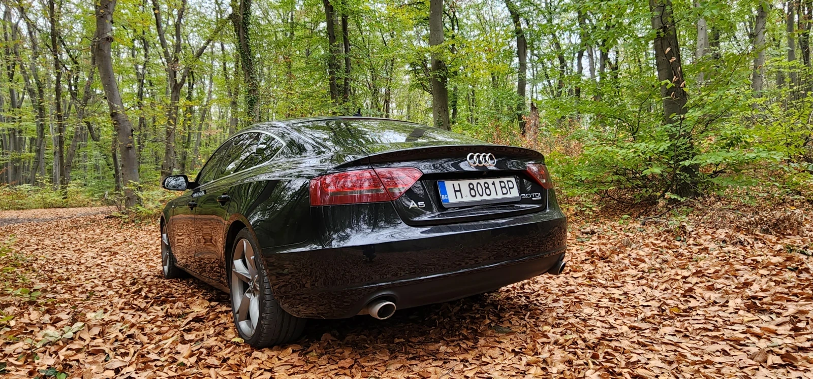 Audi A5  - изображение 3