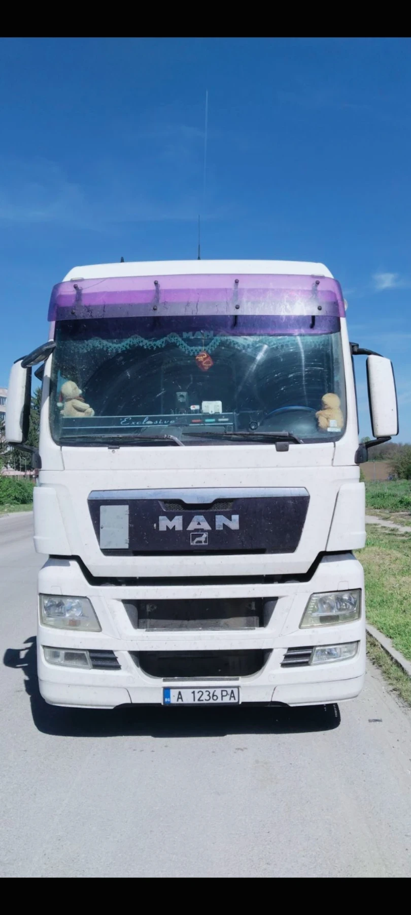 Man Tgx