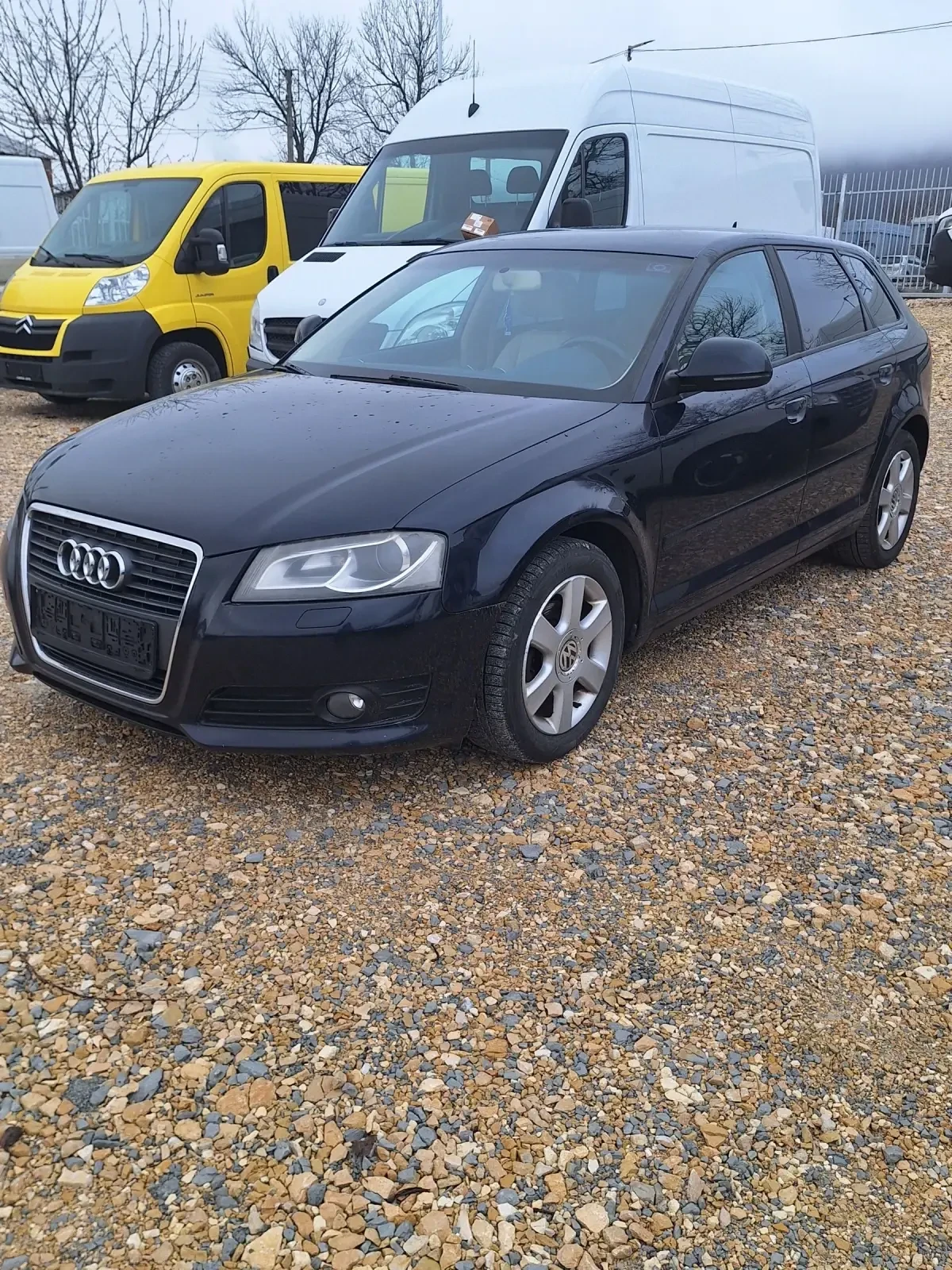 Audi A3 1.9TDI 105 FACE LIFT | Mobile.bg   2
