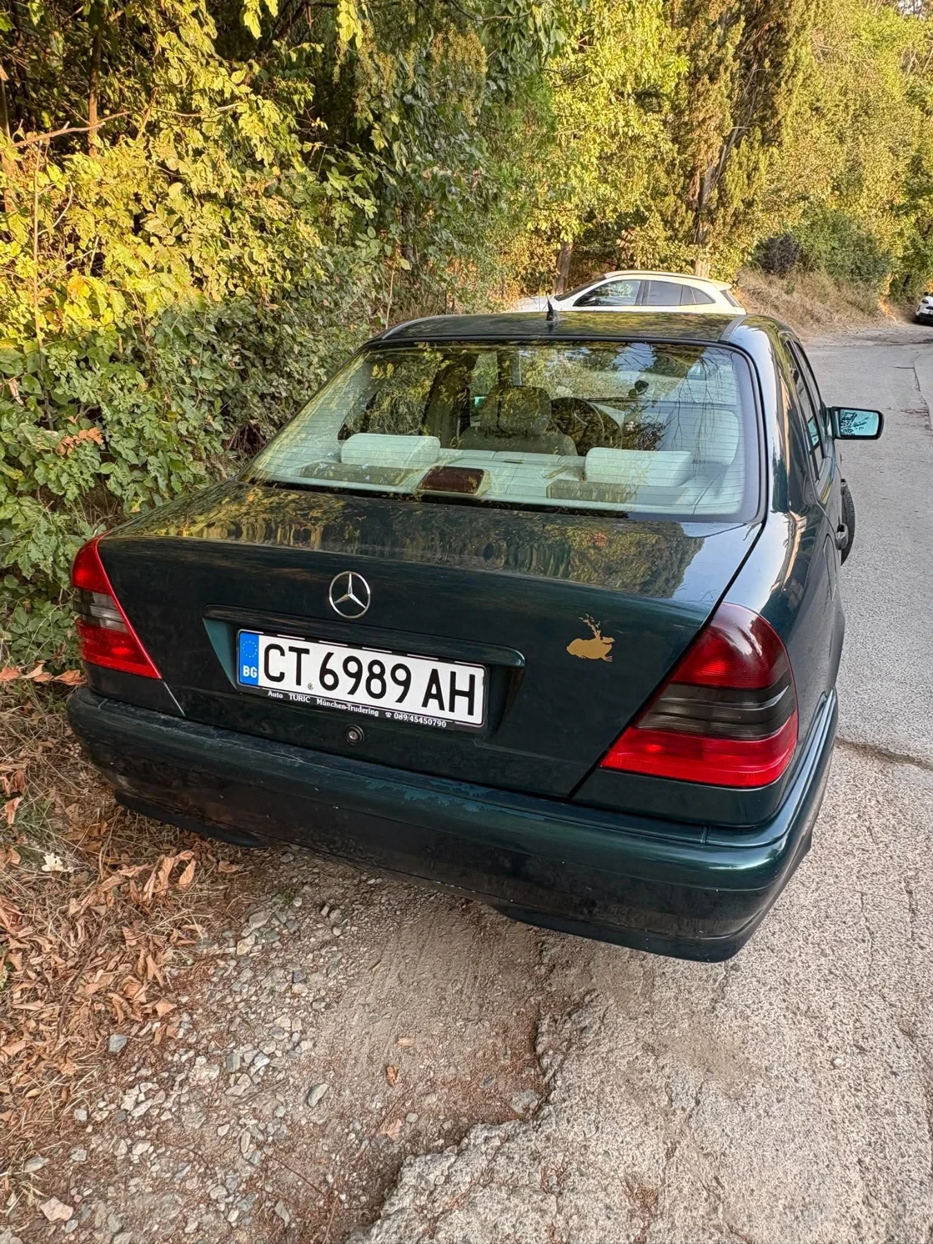 Mercedes-Benz C 250, снимка 6 - Автомобили и джипове - 56243290