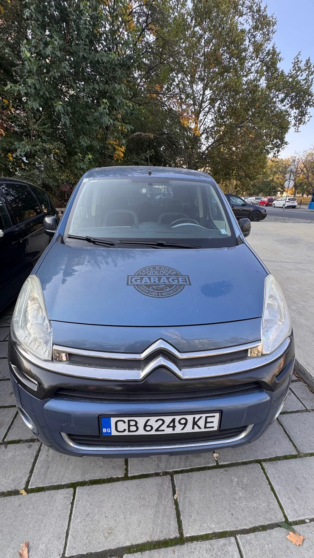 Citroen Berlingo Multispace 