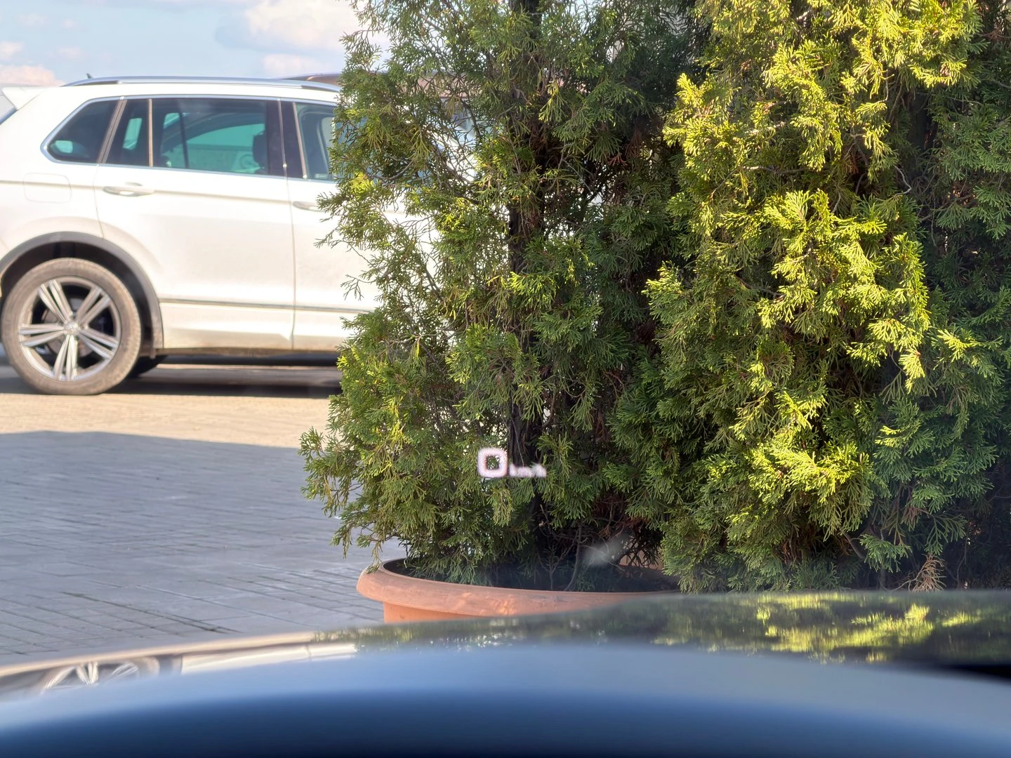 Audi A5 | Mobile.bg � ����������� 12