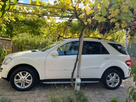 Mercedes-Benz ML 320 - 8000 € / 15646.64 лв. - 20373384 8