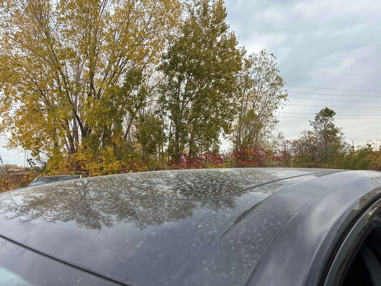 Porsche Cayenne * AWD * CARFAX * ОБДУХВАНЕ * ПАНОРАМА * , снимка 17 - Автомобили и джипове - 56717066