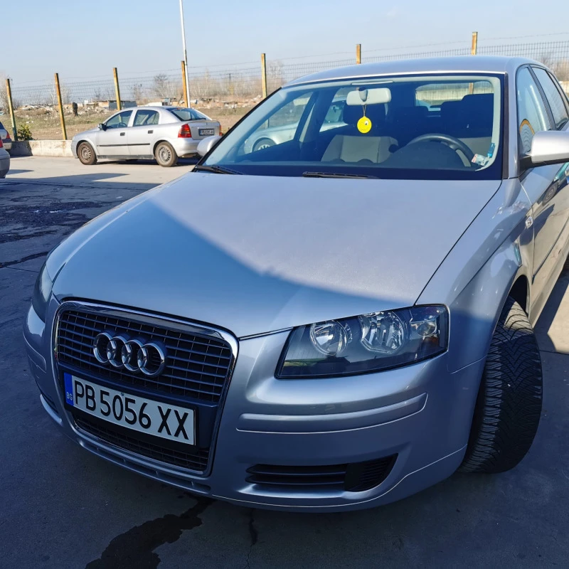 Audi A3 1.6 102к.с Газов инжекцион, снимка 9 - Автомобили и джипове - 47255093