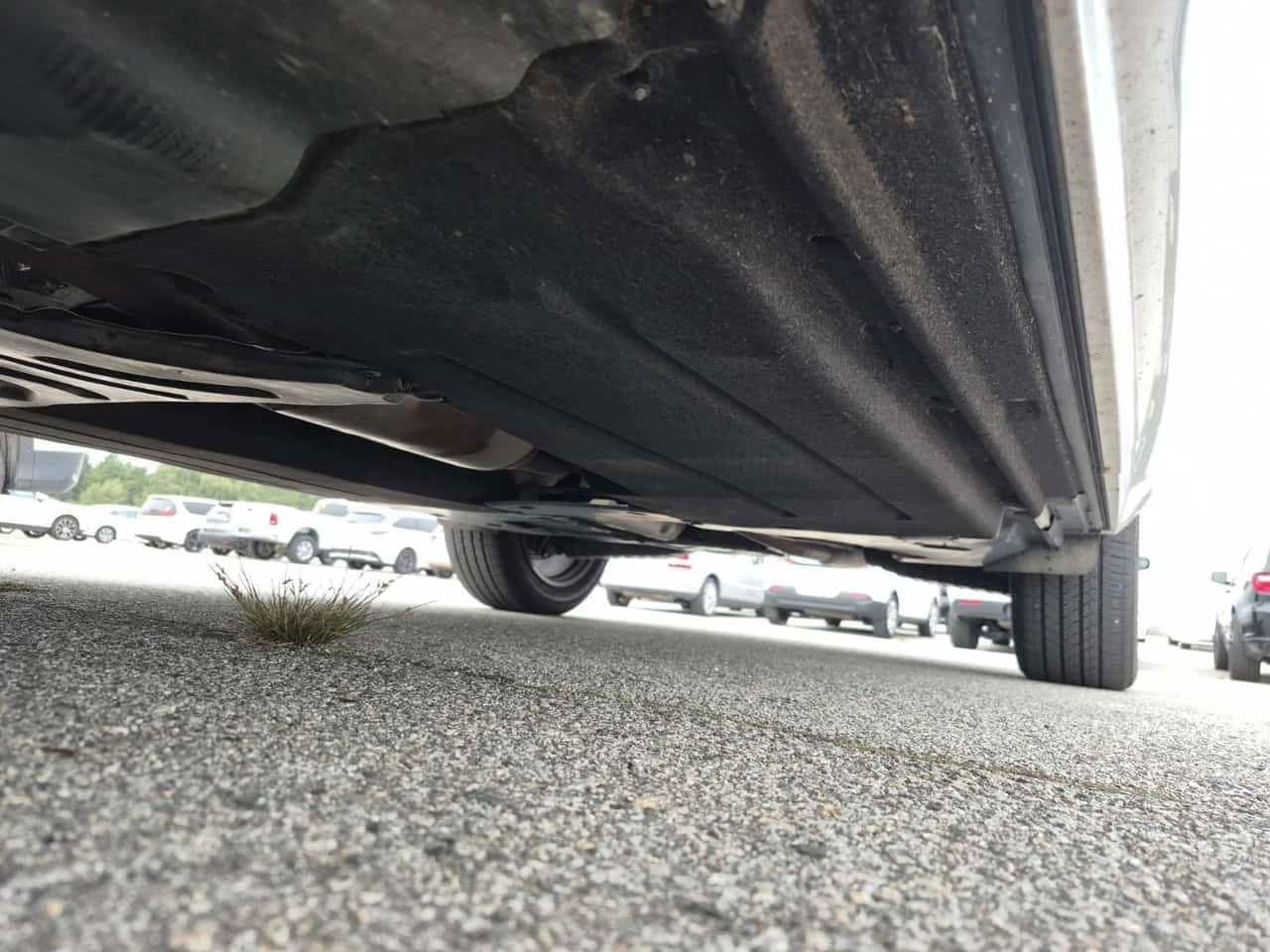 Audi Q5 * PROGRESSIV * CARFAX * ����� �� ����������� | Mobile.bg � ����������� 14