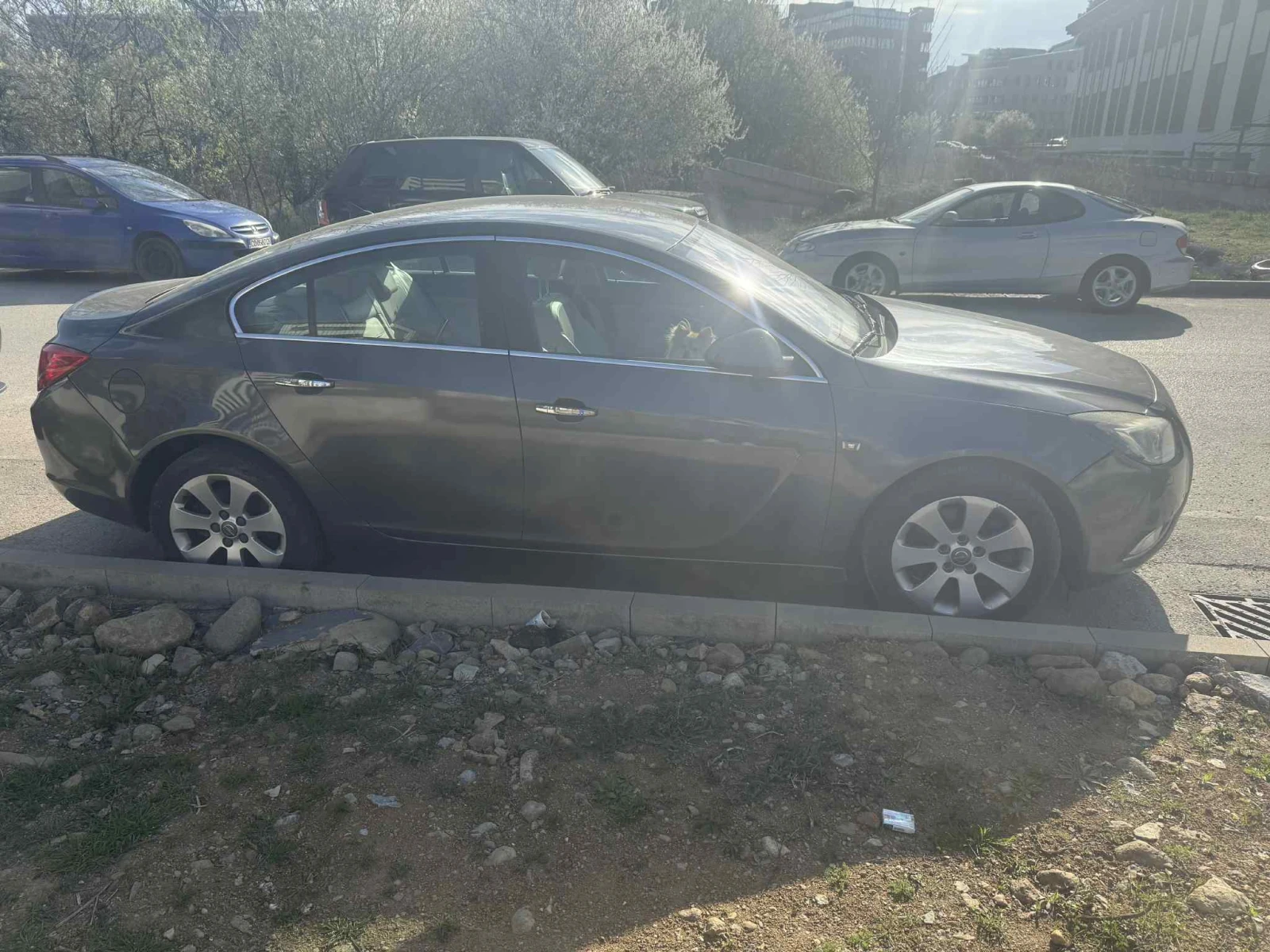 Opel Insignia 2.8T v6 4x4, снимка 6 - Автомобили и джипове - 54155953
