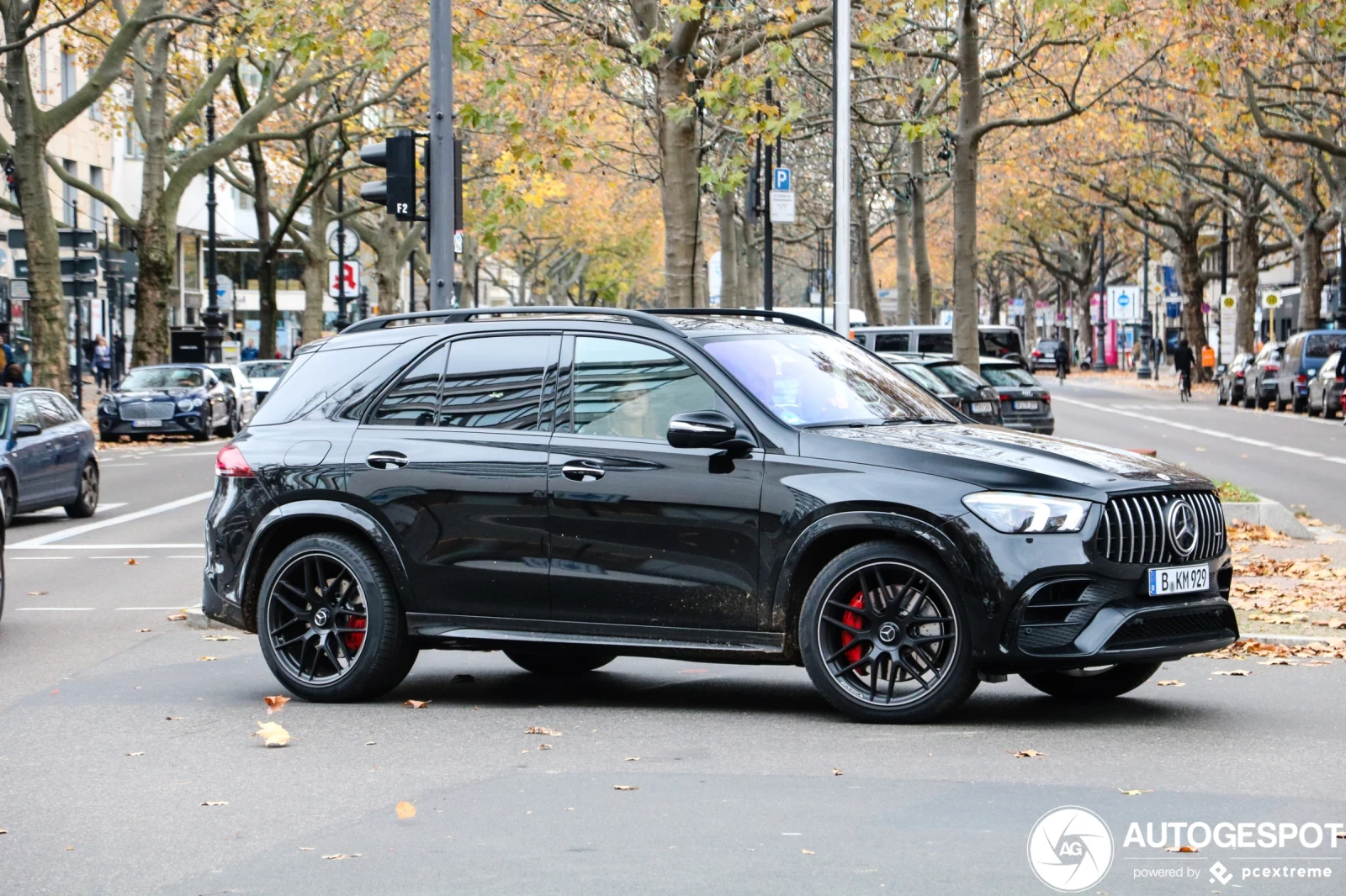 ���� � ������ 295/40R19 �� Mercedes-Benz GLE | Mobile.bg � ����������� 6