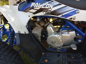 Други Друг  ATV FALCON TS-150J 150CC , снимка 8