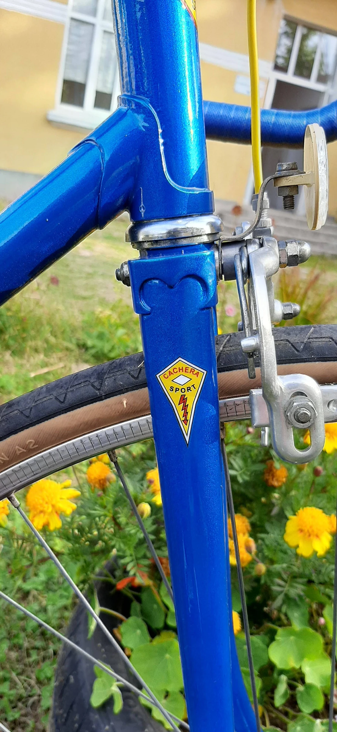   CACHERA Sport by Novy 1979 | Mobile.bg   15