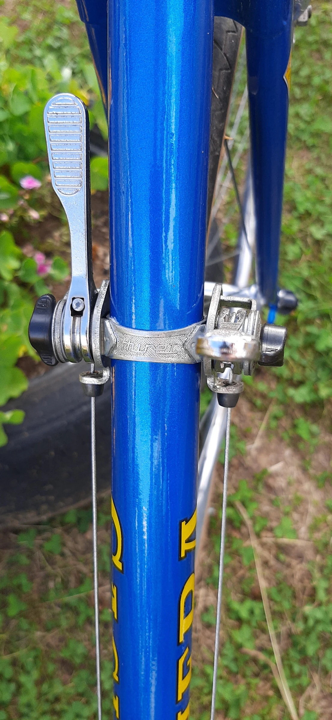   CACHERA Sport by Novy 1979 | Mobile.bg   13