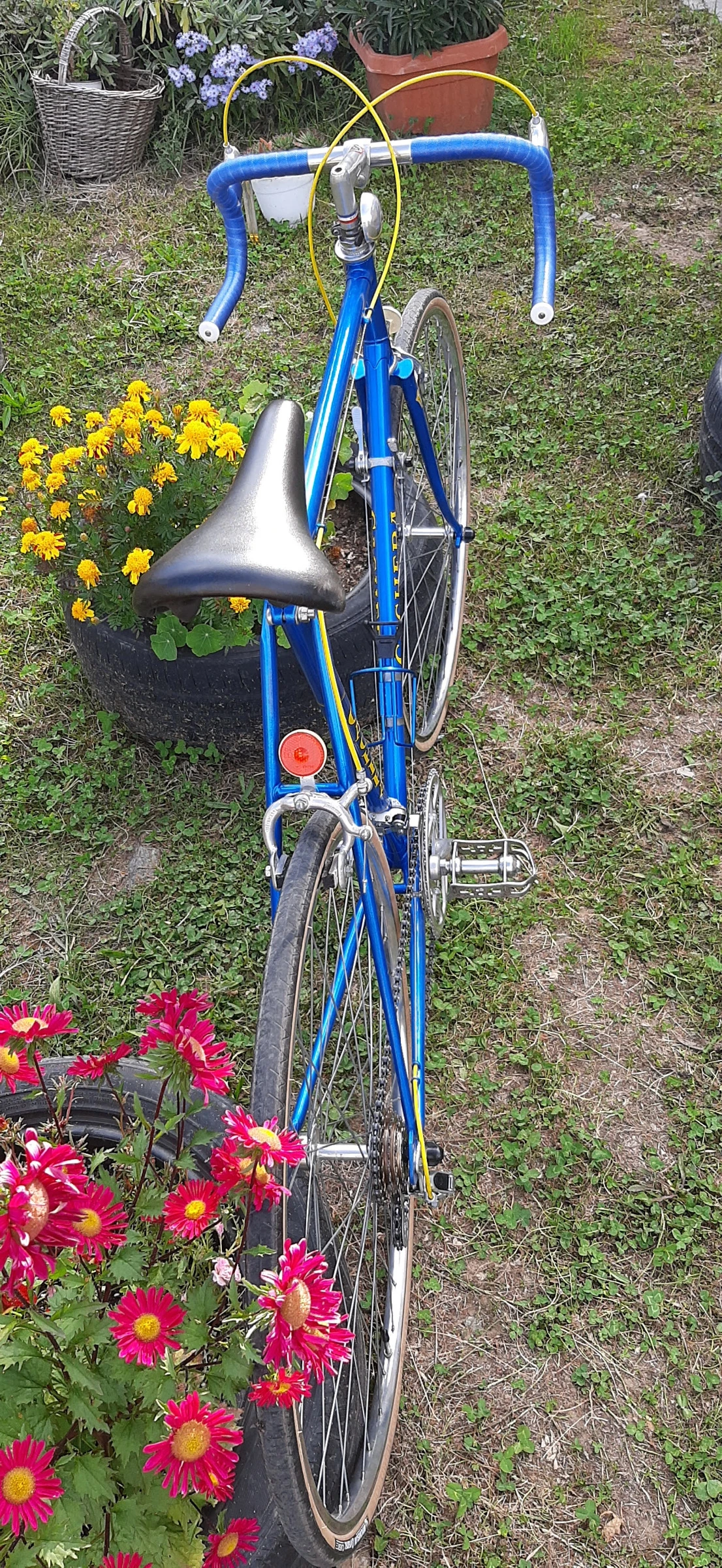   CACHERA Sport by Novy 1979 | Mobile.bg   5