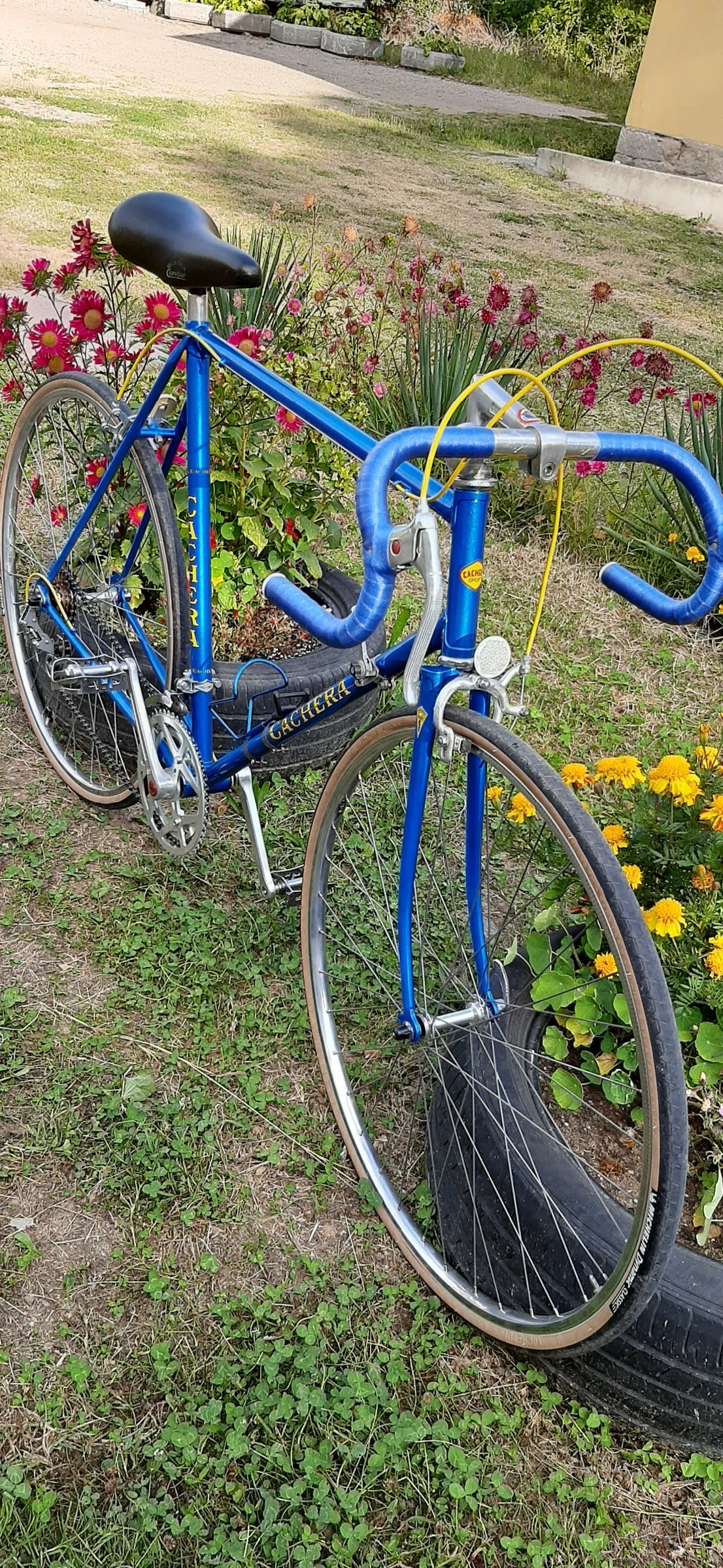   CACHERA Sport by Novy 1979 | Mobile.bg   4