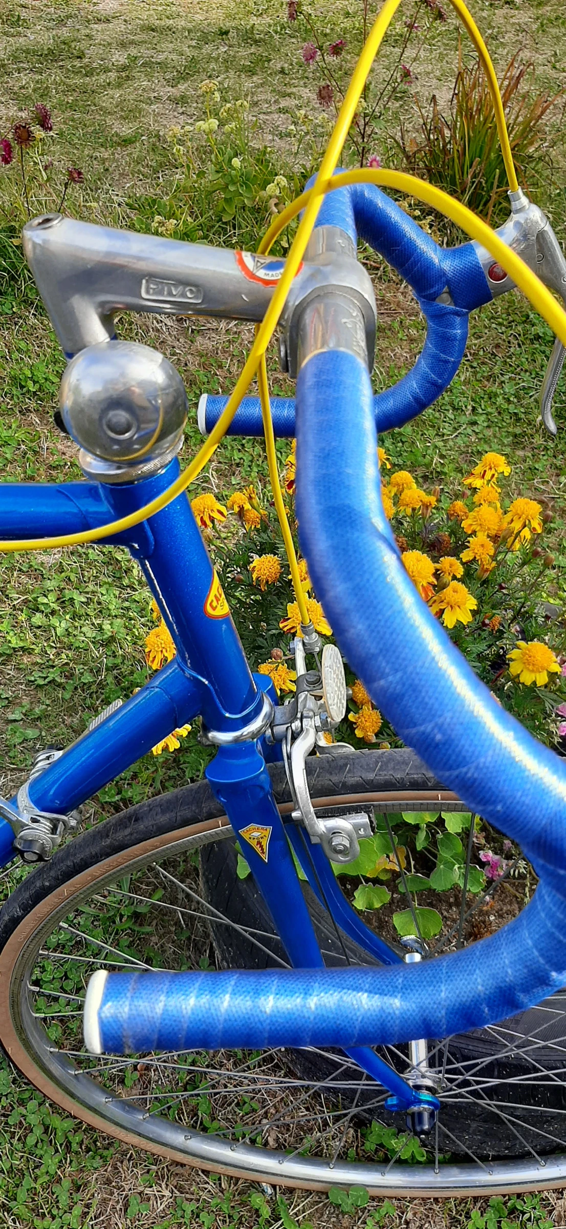   CACHERA Sport by Novy 1979 | Mobile.bg   14