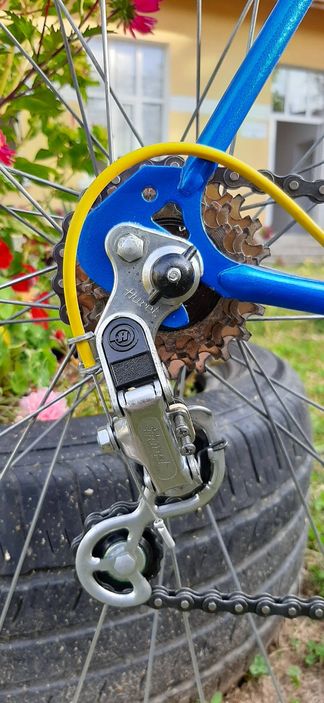   CACHERA Sport by Novy 1979 | Mobile.bg   12