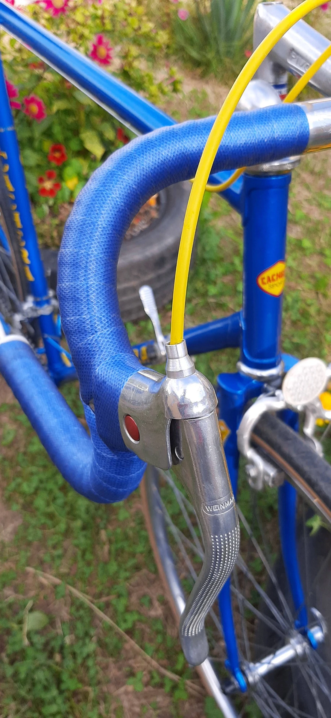   CACHERA Sport by Novy 1979 | Mobile.bg   8