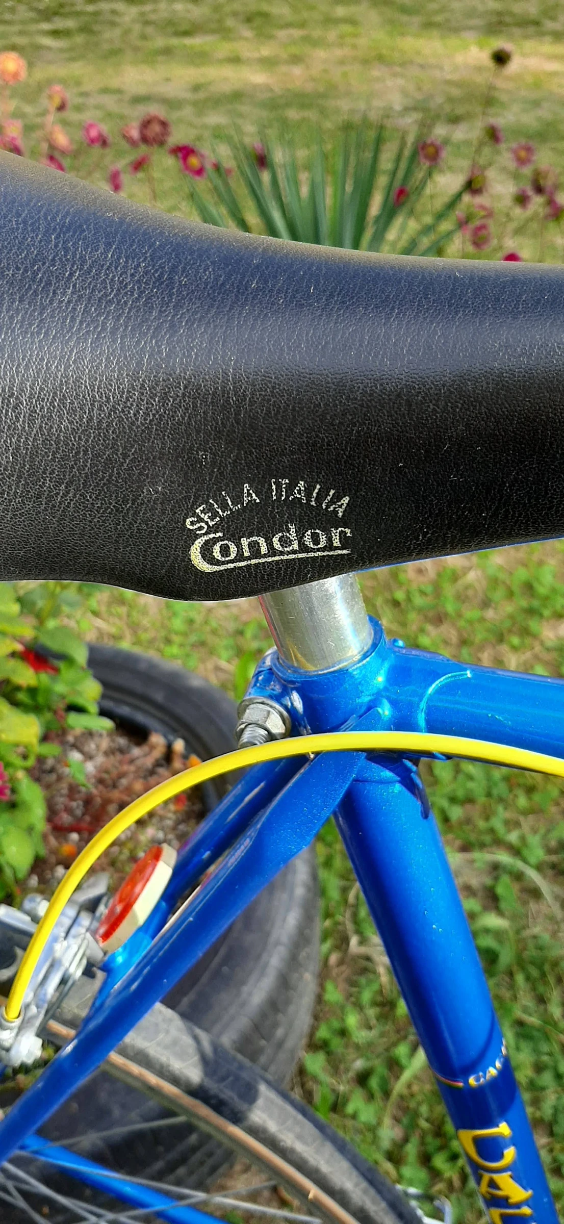   CACHERA Sport by Novy 1979 | Mobile.bg   11