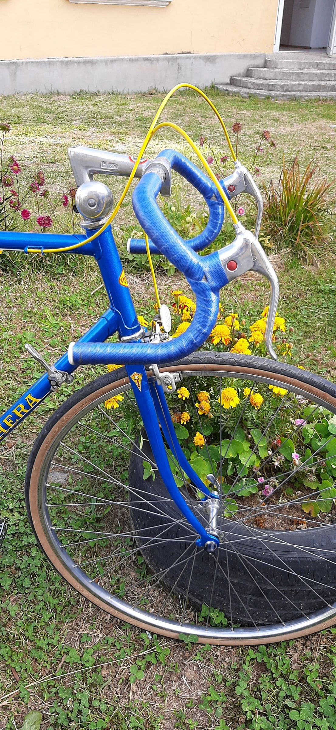   CACHERA Sport by Novy 1979 | Mobile.bg   3