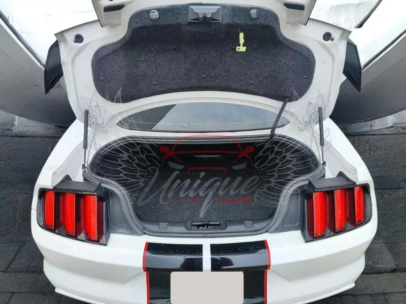 Ford Mustang V6 3.7L / GT 500 Body Kit, снимка 3 - Автомобили и джипове - 47054334