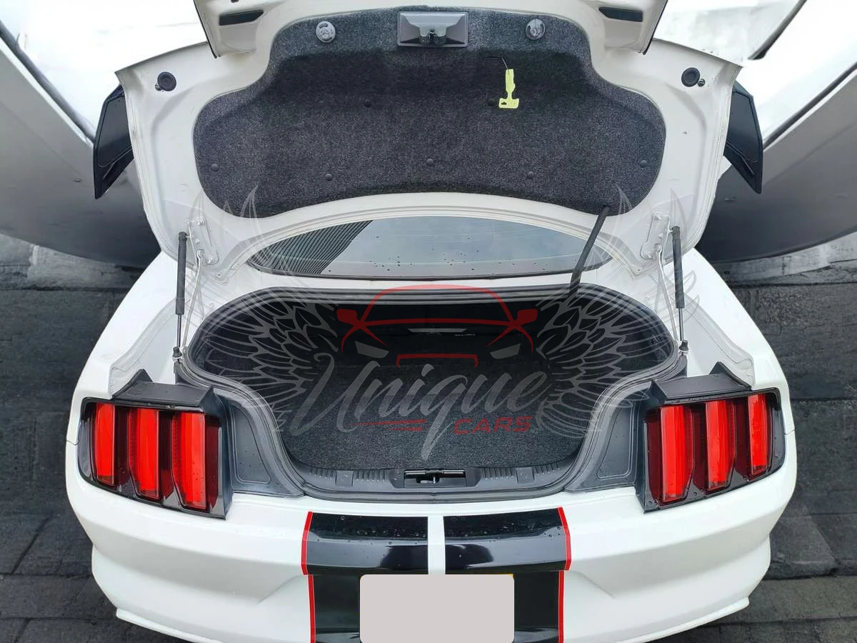 Ford Mustang V6 3.7L / GT 500 Body Kit - изображение 3