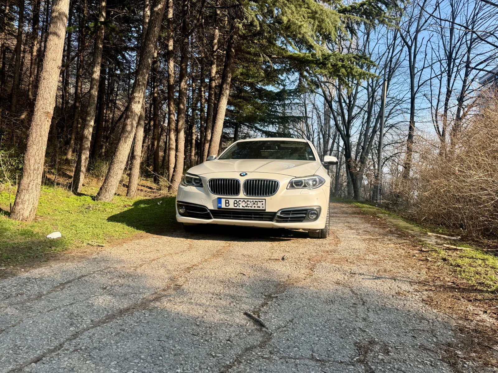 BMW 525 525d Xdrive Luxury  | Mobile.bg � ����������� 6
