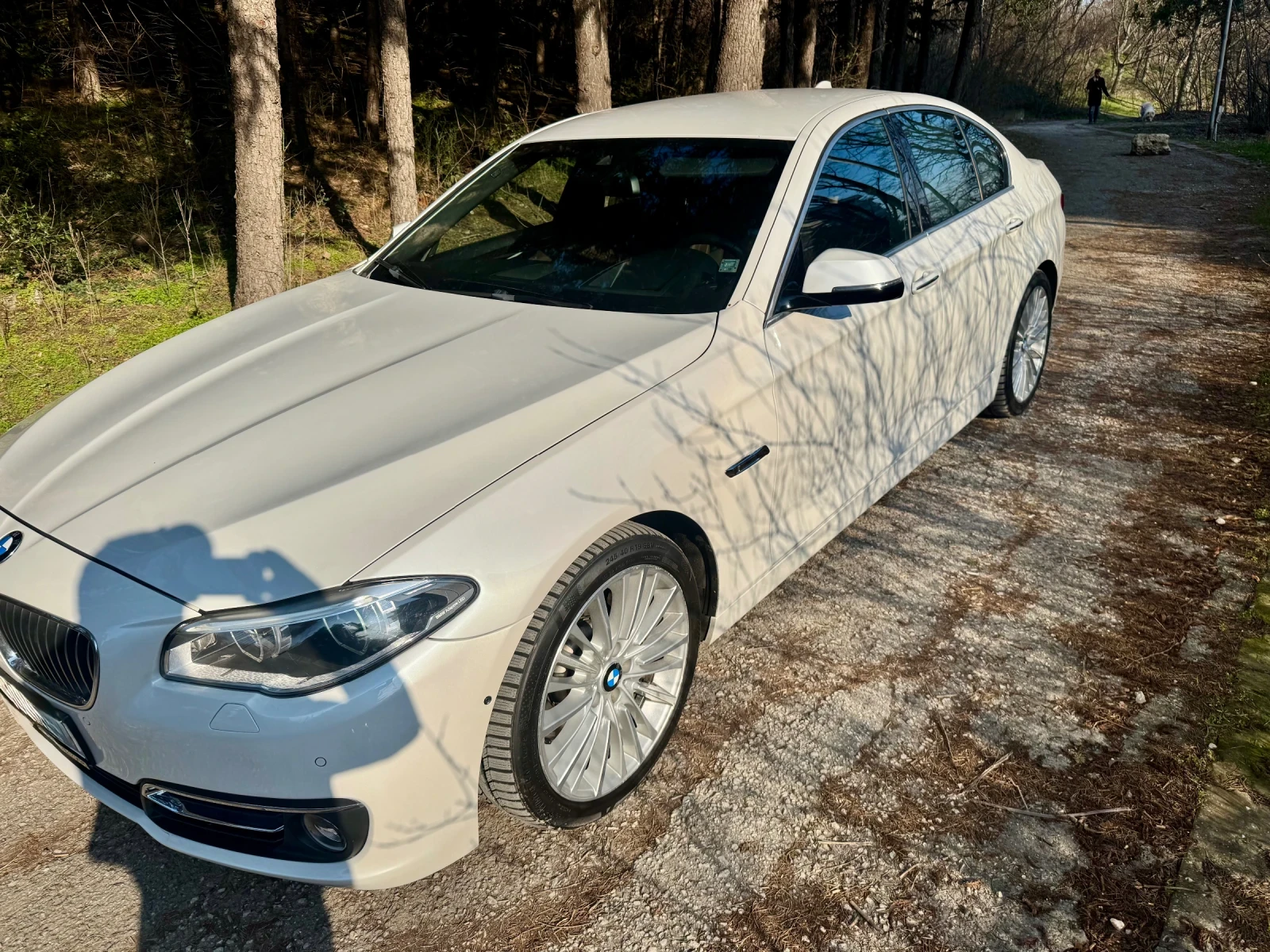 BMW 525 525d Xdrive Luxury 