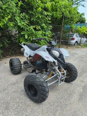 Shineray XY, снимка 3