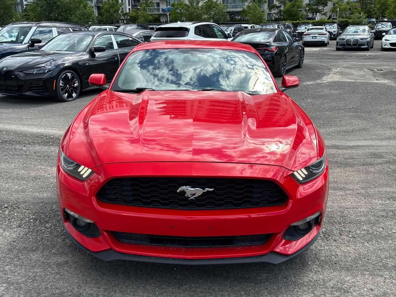 Ford Mustang * V6 * АВТОКРЕДИТ БЕЗ ПЪРВОНАЧАЛНА ВНОСКА* , снимка 6 - Автомобили и джипове - 55027334