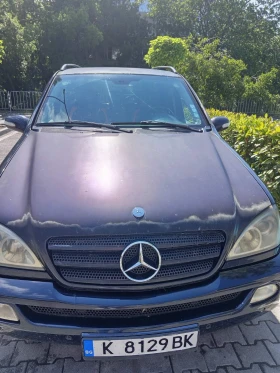 Mercedes-Benz ML 270, снимка 1