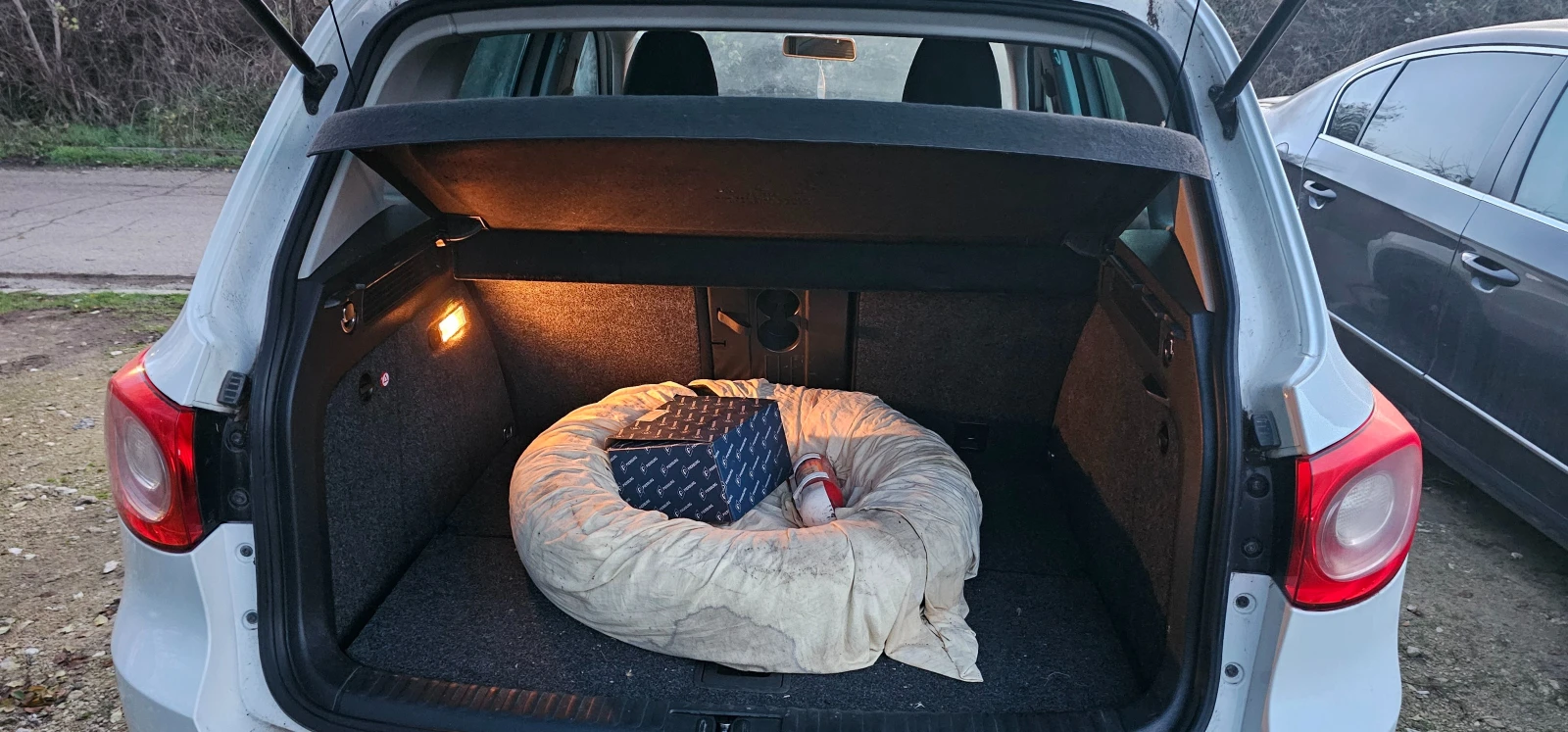 VW Tiguan TSI-��� | Mobile.bg � ����������� 2