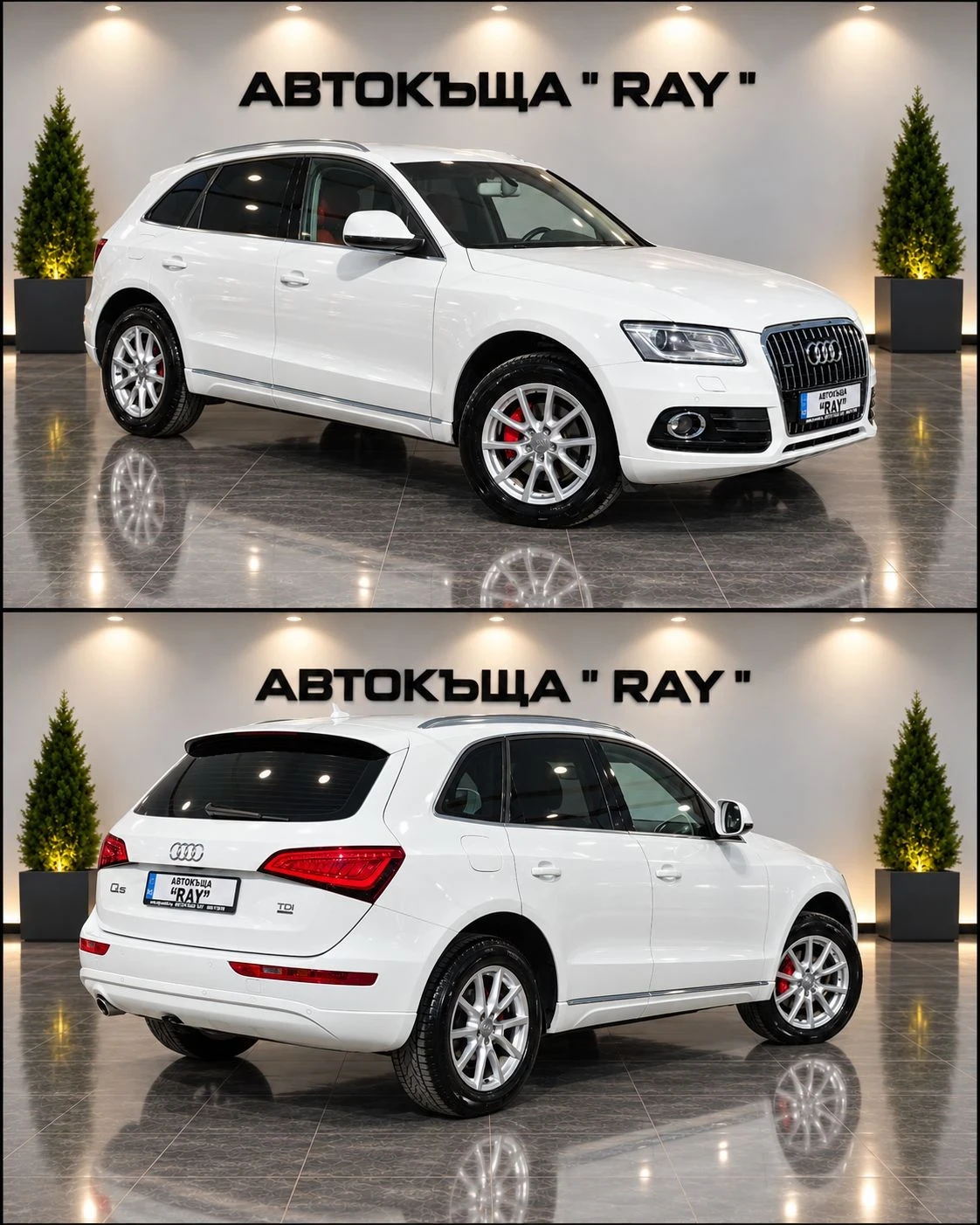 Audi Q5 2.0TDI/QUATTRO/AUDI-EXCLUSIVE-RED/������ ��./ | Mobile.bg � ����������� 2