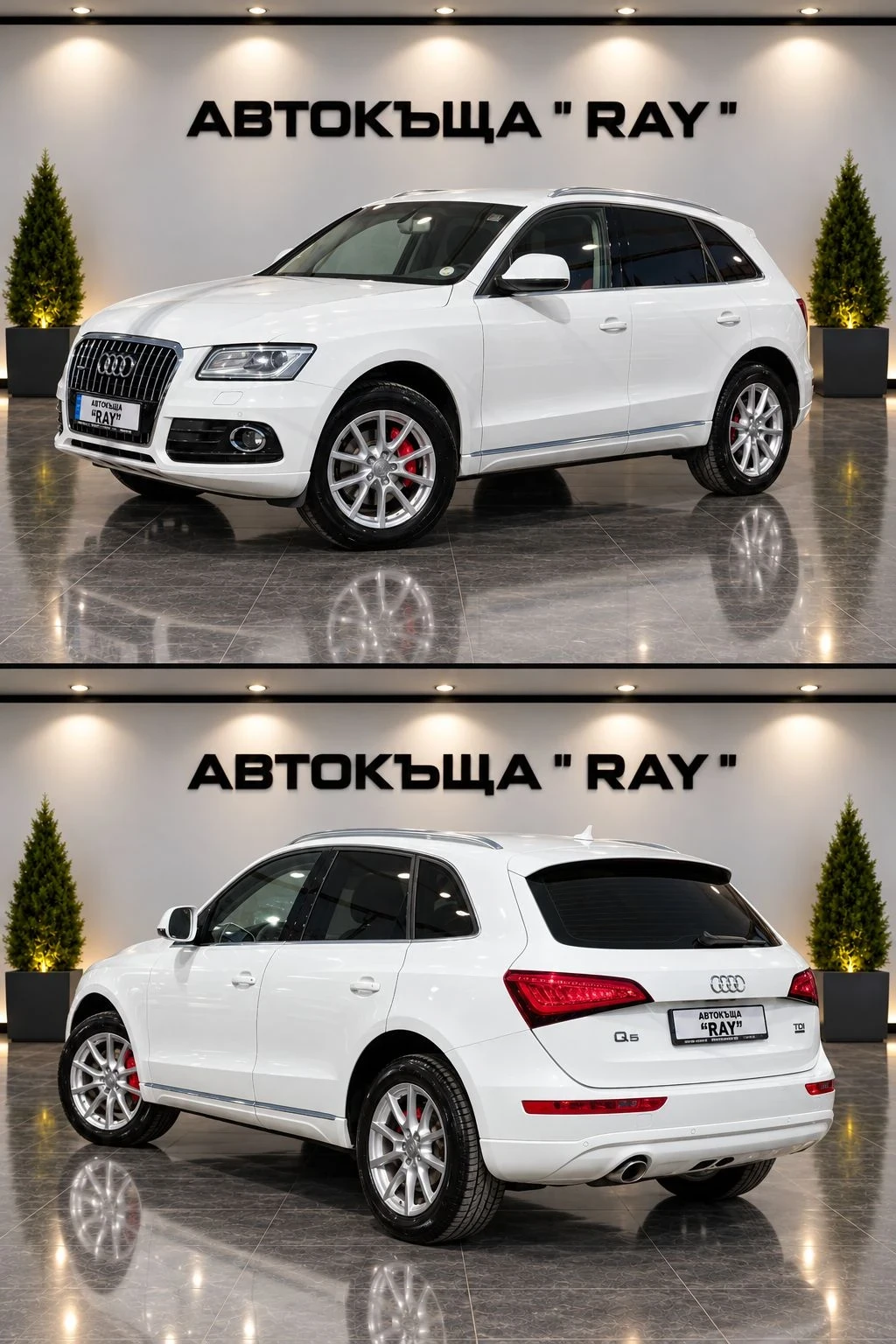 Audi Q5 2.0TDI/QUATTRO/AUDI-EXCLUSIVE-RED/������ ��./ | Mobile.bg � ����������� 3