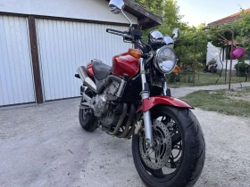 Honda Hornet 600 | Mobile.bg    2