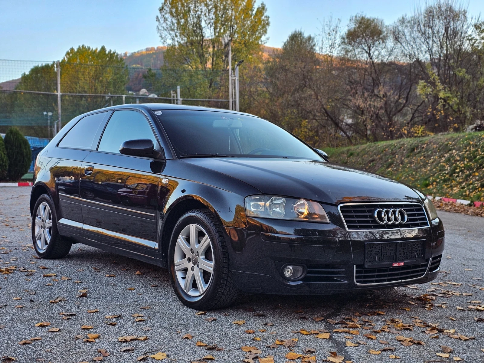 Audi A3 1.6 102hp  | Mobile.bg   7