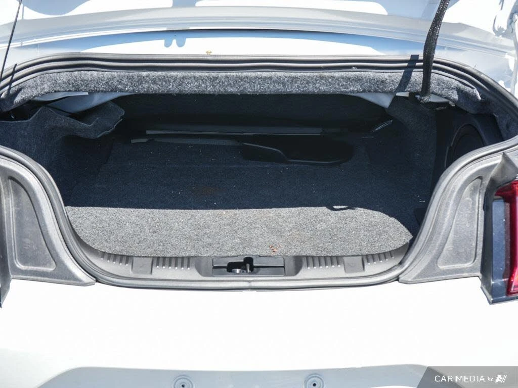 Ford Mustang GT* Premium* Convertible* ����������* (���� �� ��) | Mobile.bg � ����������� 15