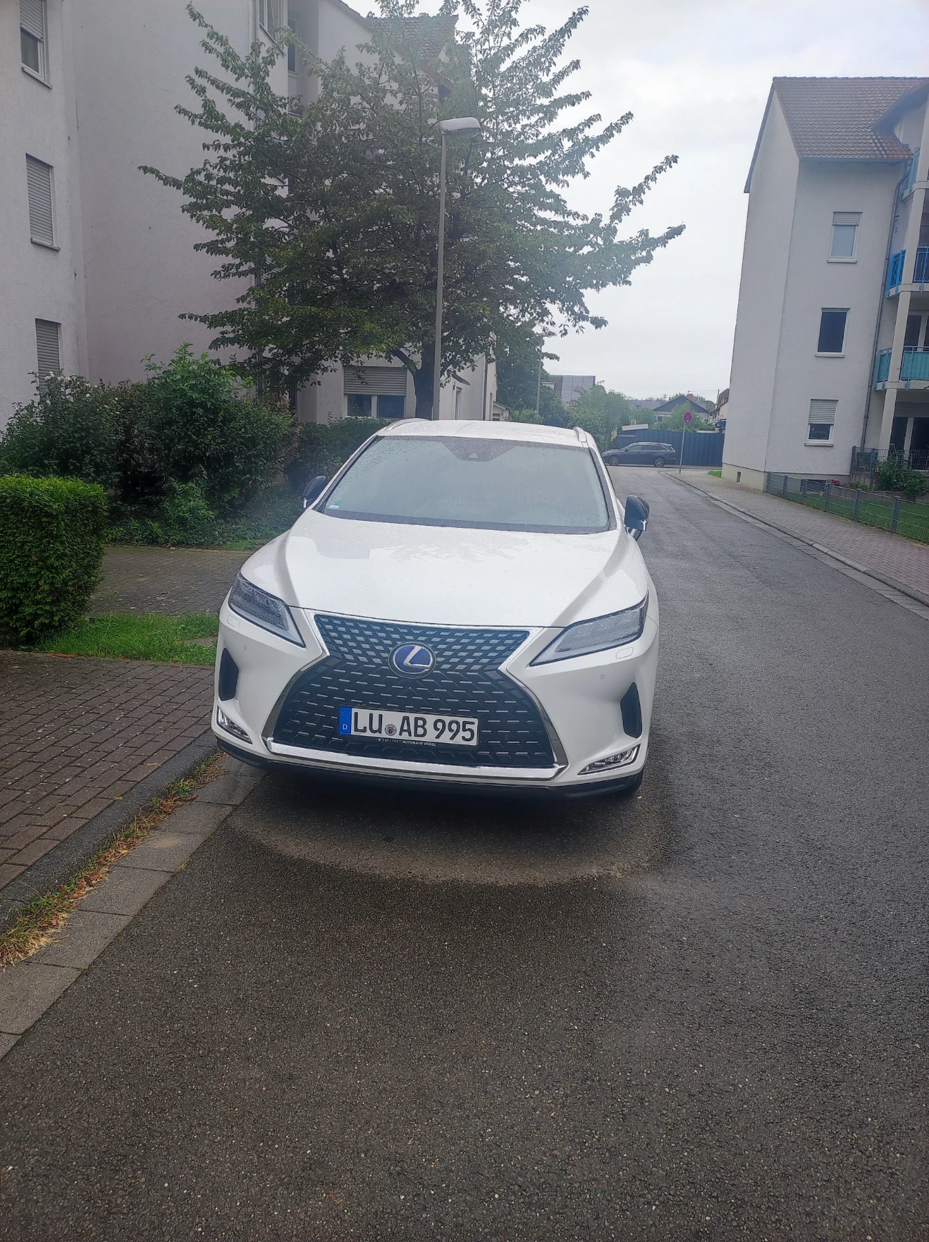 Lexus RX 450h  - изображение 6