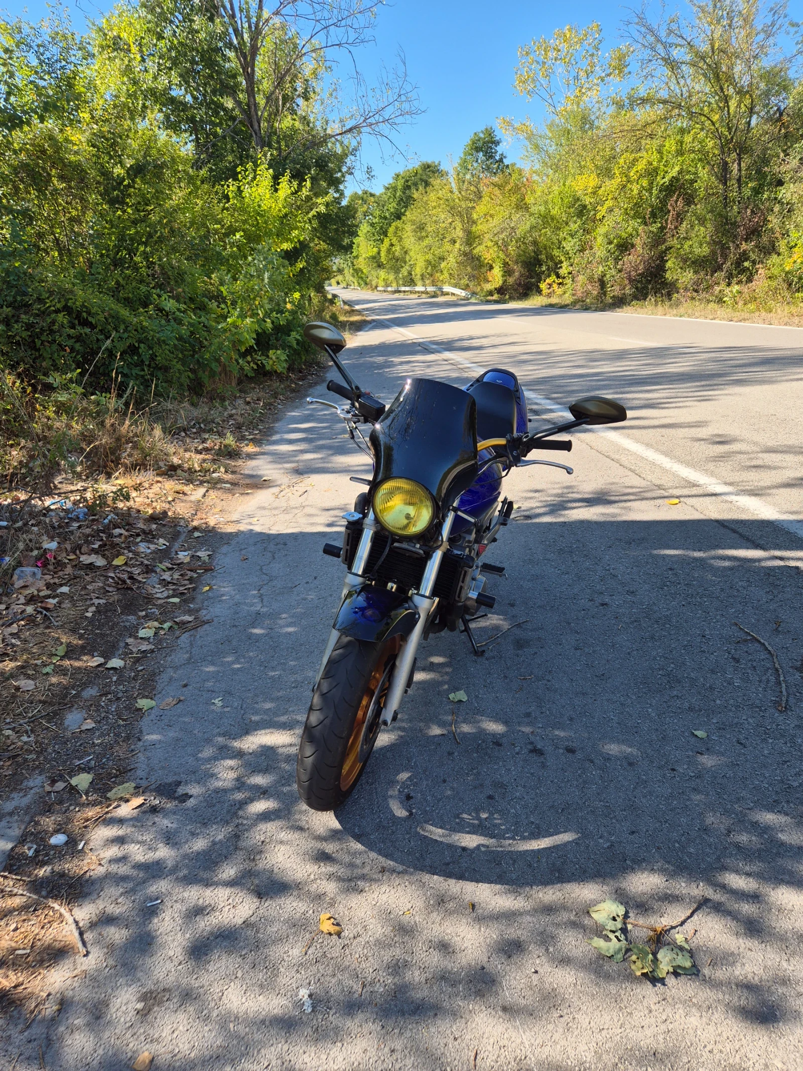 Honda Hornet 600 - изображение 4