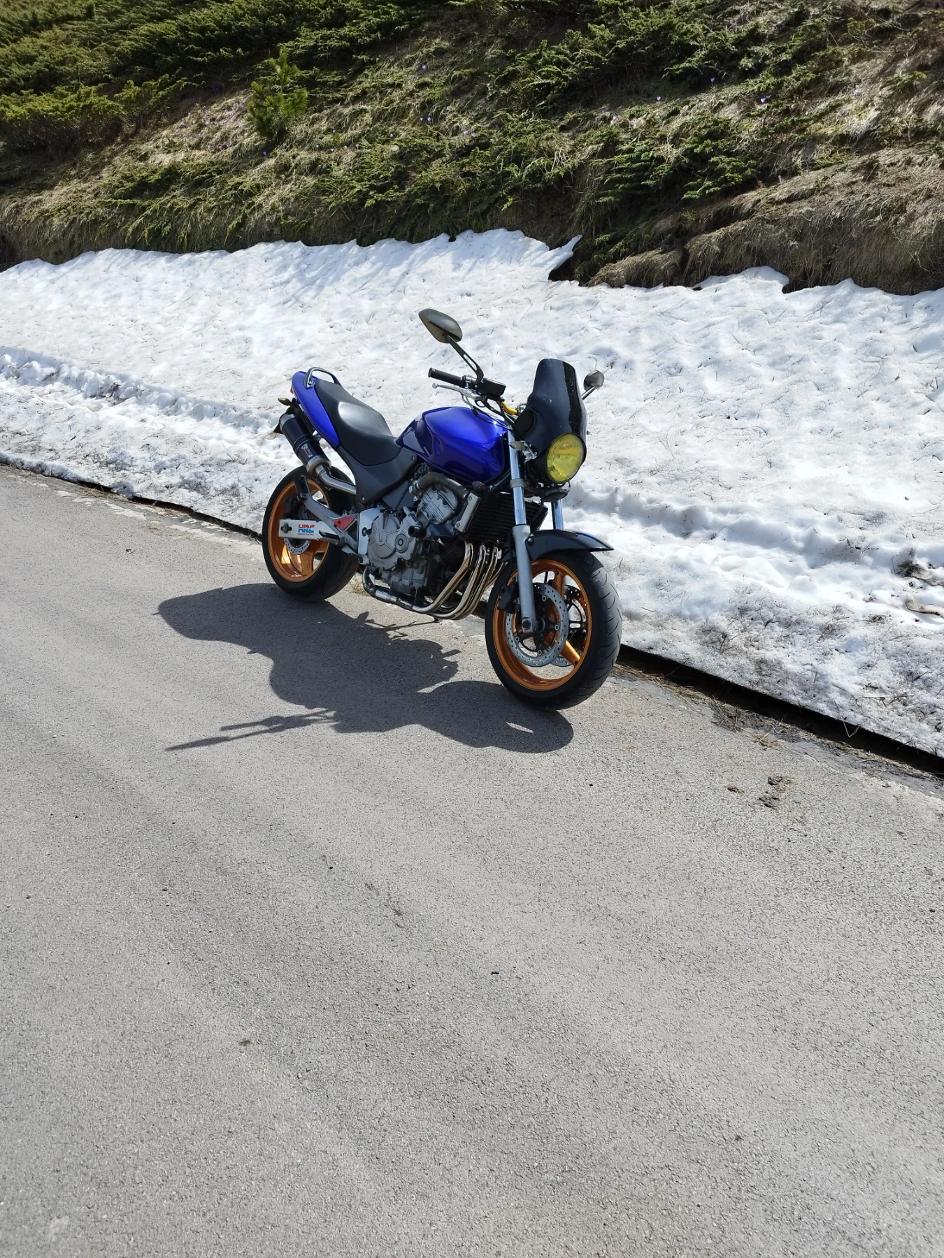 Honda Hornet 600 - изображение 2