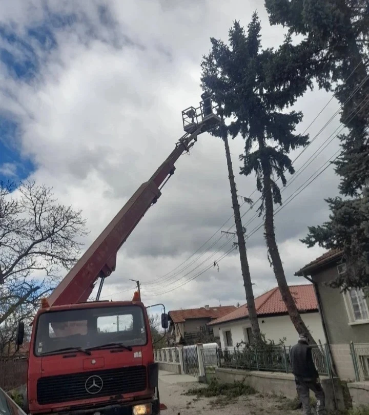 Mercedes-Benz 1622  - изображение 3