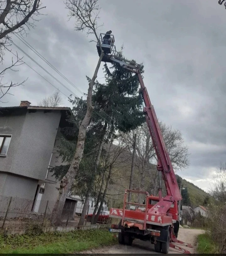 Mercedes-Benz 1622  - изображение 2