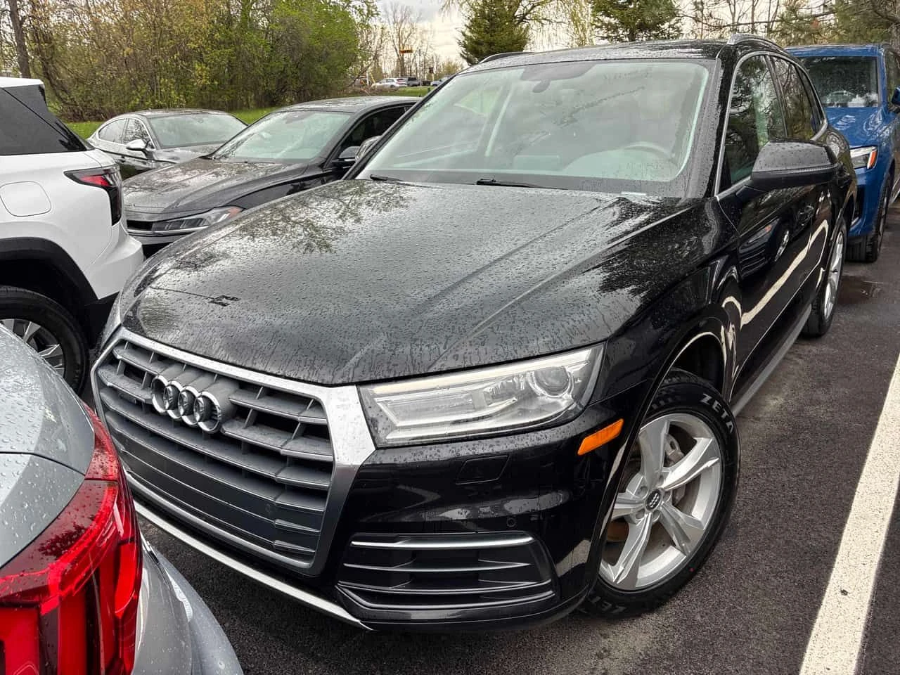 Audi Q5 * Progressiv * CARFAX * ЦЕНА ДО БГ, снимка 5 - Автомобили и джипове - 54526169