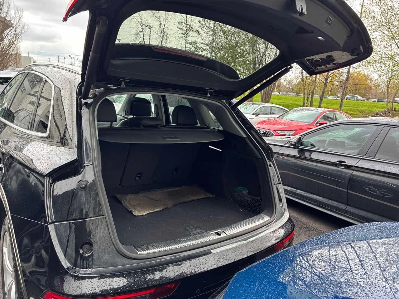 Audi Q5 * Progressiv * CARFAX * ЦЕНА ДО БГ, снимка 6 - Автомобили и джипове - 54526169