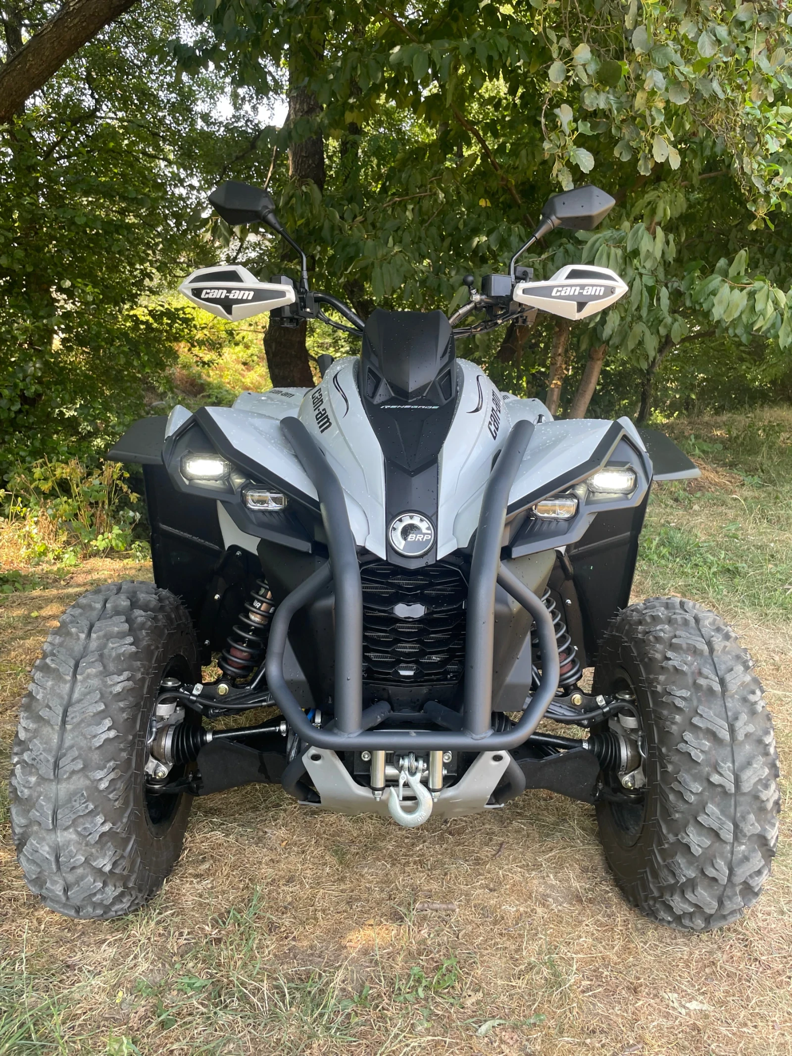 Can-Am Renеgade  - изображение 4