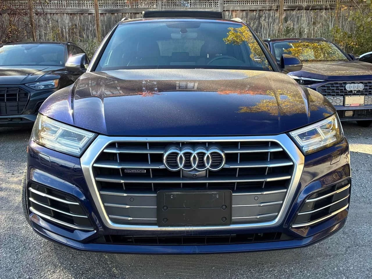 Audi Q5 * Technik * ���������� ��� ������������ ������*  | Mobile.bg � ����������� 6